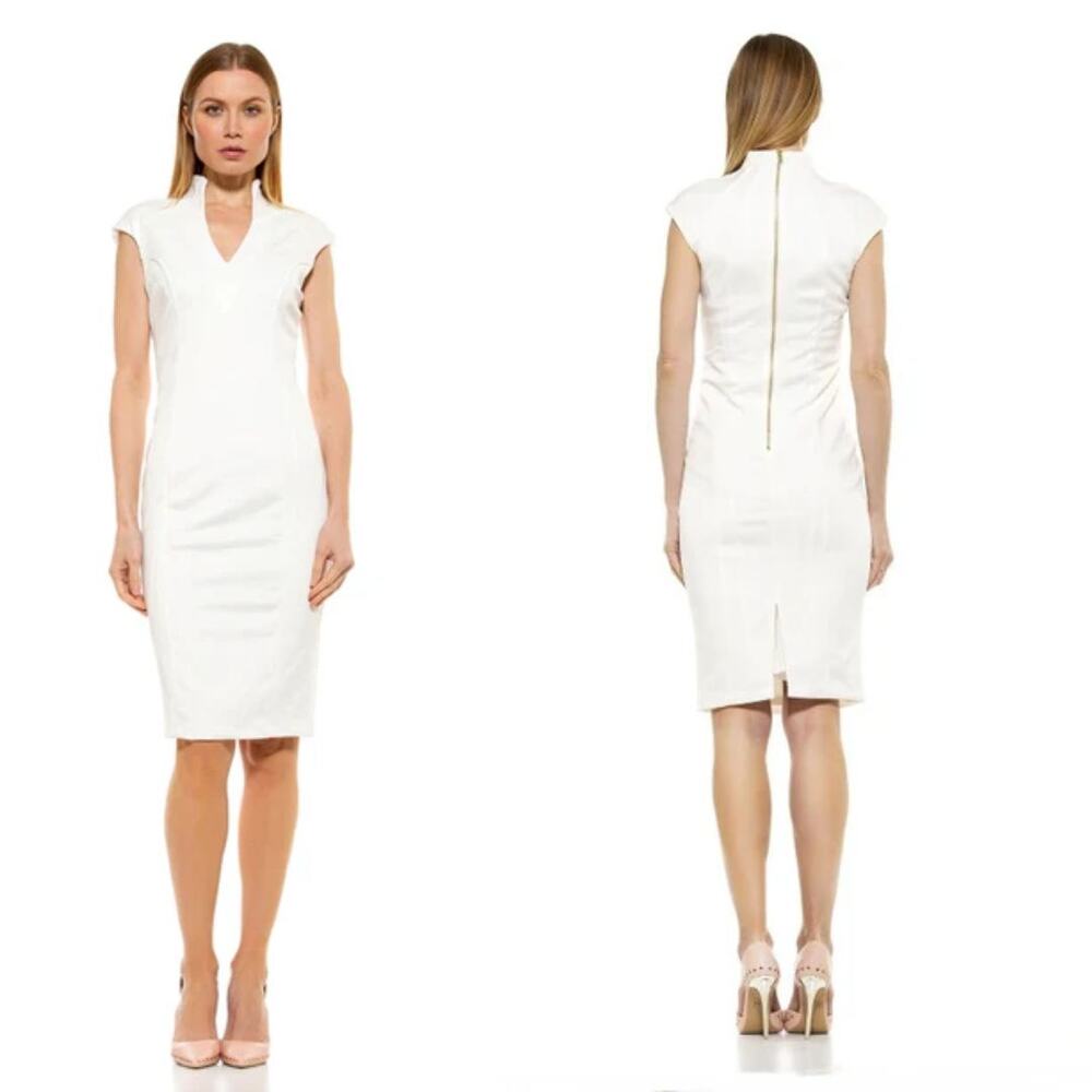 Alexia Admor Katrina Midi Dress Size L NTW